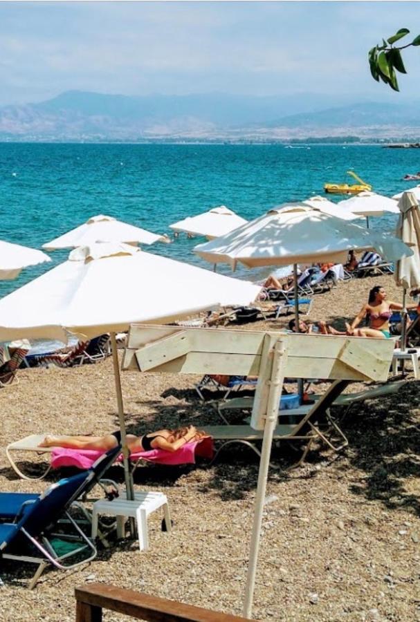 Mediterranean Dream Oroklini Eksteriør bilde