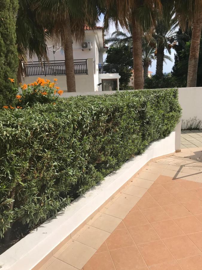 Mediterranean Dream Oroklini Eksteriør bilde